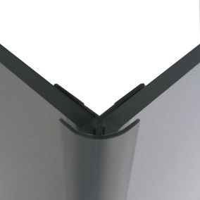 Splashwall Chrome effect Straight Panel external corner joint, (L)2440mm (W)4mm (T)4mm