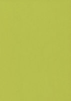 Splashwall Majestic Lime Laminate Panel (H)2420mm (W)585mm