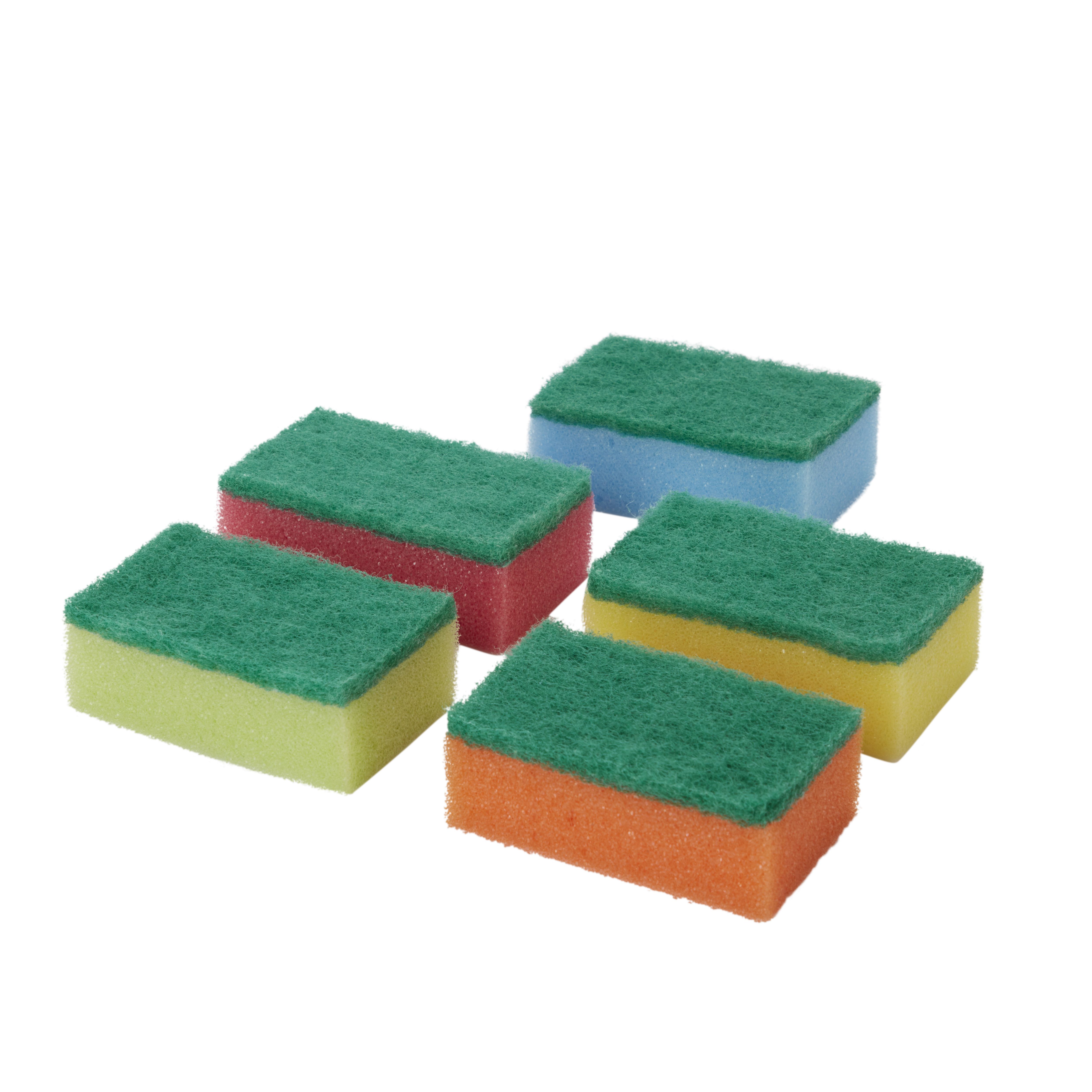 Sponge scourer