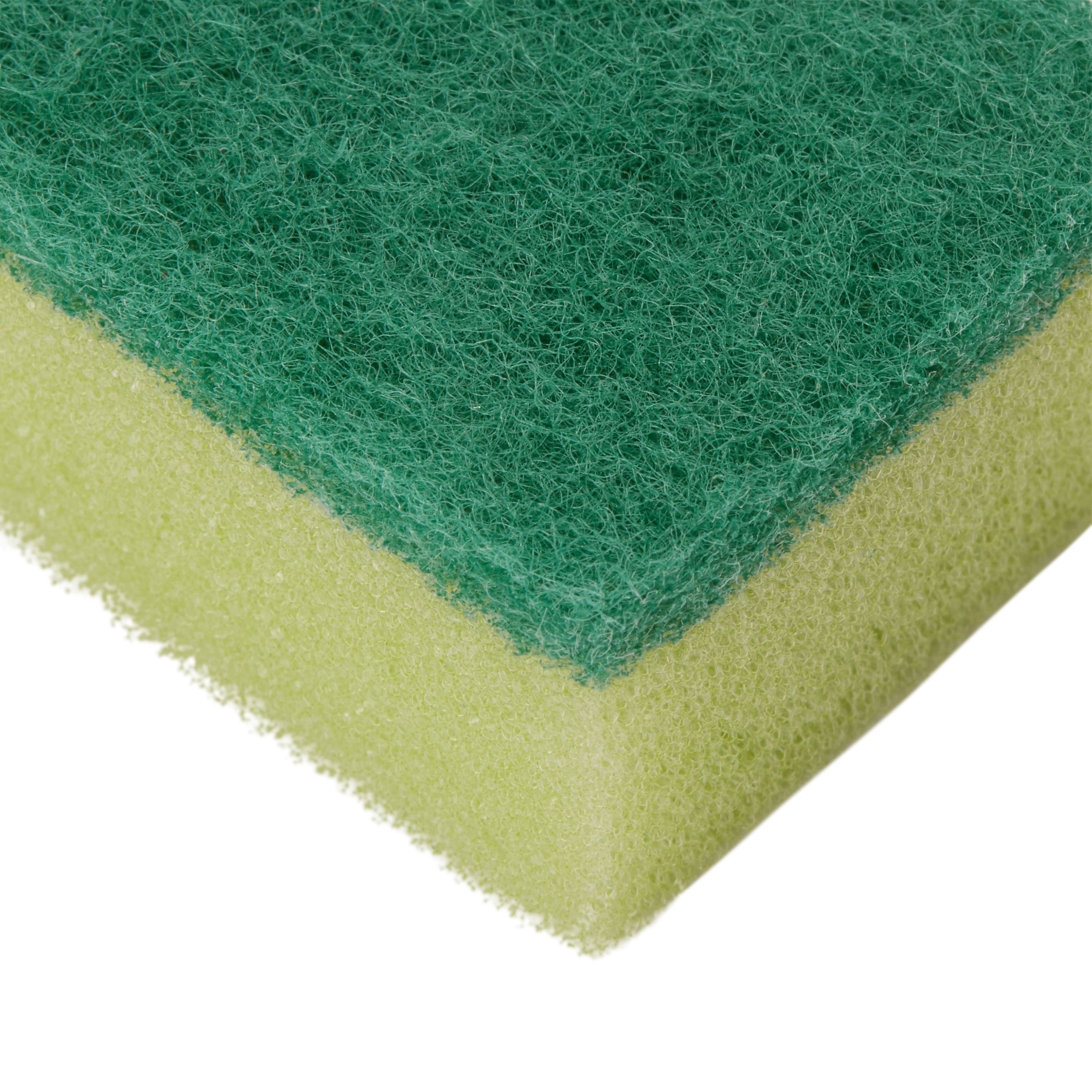 Sponge scourer