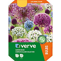 Spring flowering allium collection Flower bulb, Pack of 50
