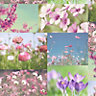 Springtime Multicolour Photographic Embossed Wallpaper