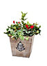 SQUARE WOODEN PLANTER WITH TREES