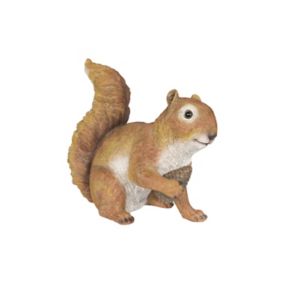 Squirrel Garden ornament (H)22cm