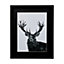 Stag Black Framed print (H)530mm (W)430mm