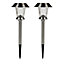 Stainless steel effect Solar-powered LED Outdoor Stake light, Pack of 2