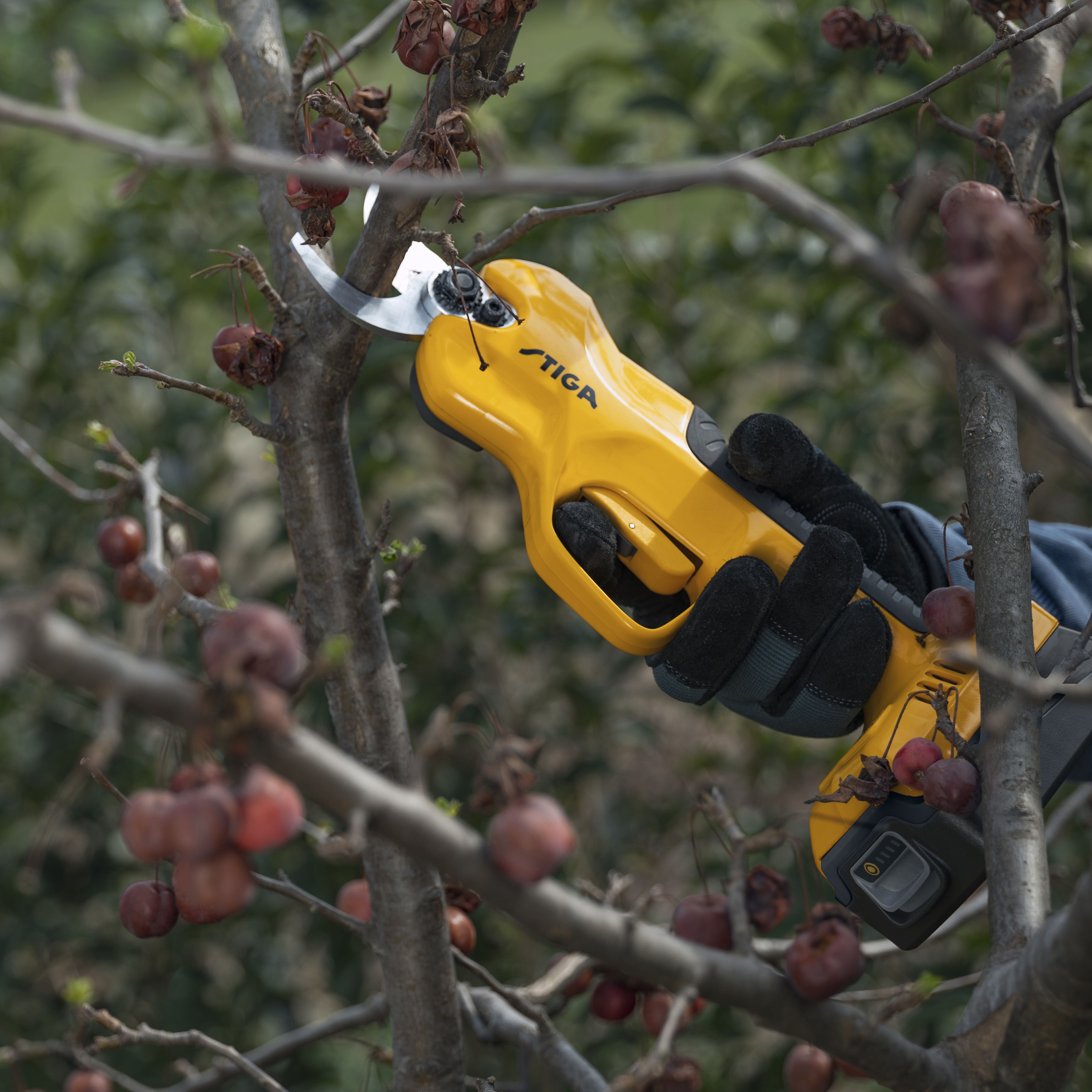 Stiga 20V SC 100e Kit / 257022001/UKS Cordless Pruner & shrub shears, 30cm Bar