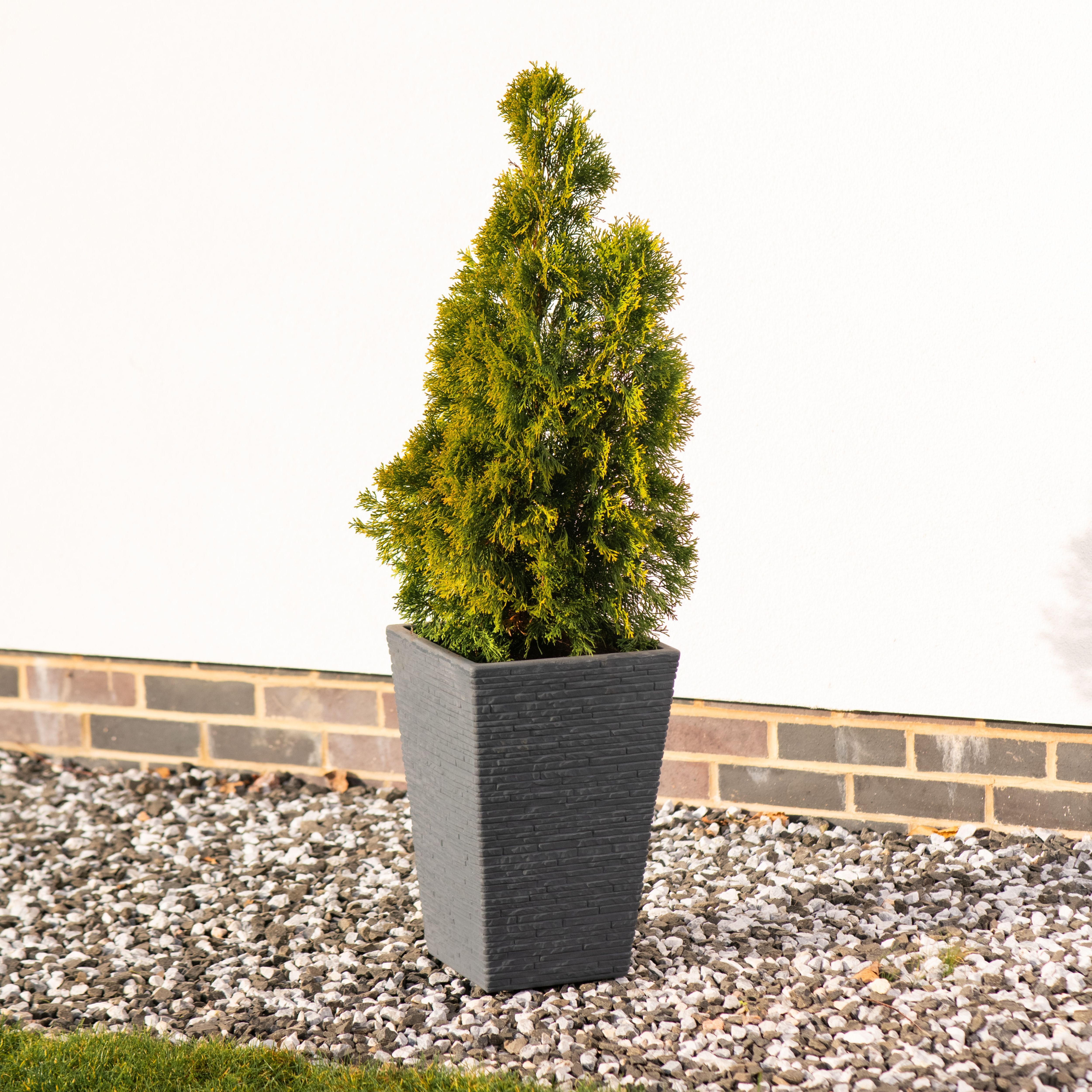 Strata Ash Plastic Rectangular Planter (H)25.5cm (W)25cm