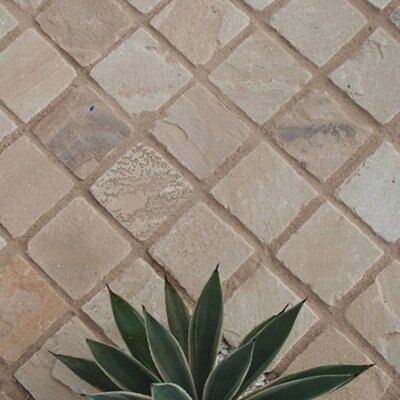 Strata Cream Sandstone Sett, 11.62m² (L)100mm (W)100mm Pack of 1