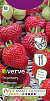 Strawberry temptation Seed