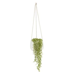 String of beads in 13cm White Trailing foliage plant Ceramic Decorative pot