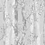 Sublime Dappled trees Silver Smooth Wallpaper Sample