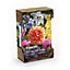 Summer shades crate collection Flower bulb, Pack of 100