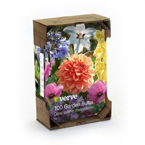 Summer shades crate collection Flower bulb, Pack of 100