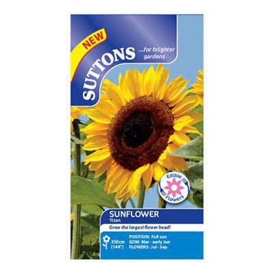 Sunflower Seed | DIY At B&Q