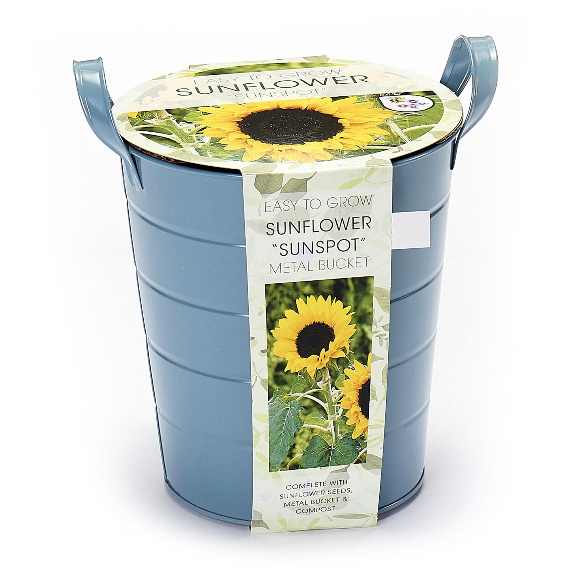 Sunspot Sunflower Seed | DIY at B&Q