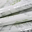 Superfresco Daintree Green Palm leaf Metallic effect Smooth Wallpaper