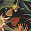 Superfresco Easy Black Parrot Smooth Wallpaper