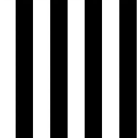 Superfresco Easy Black & white Stripe Smooth Wallpaper