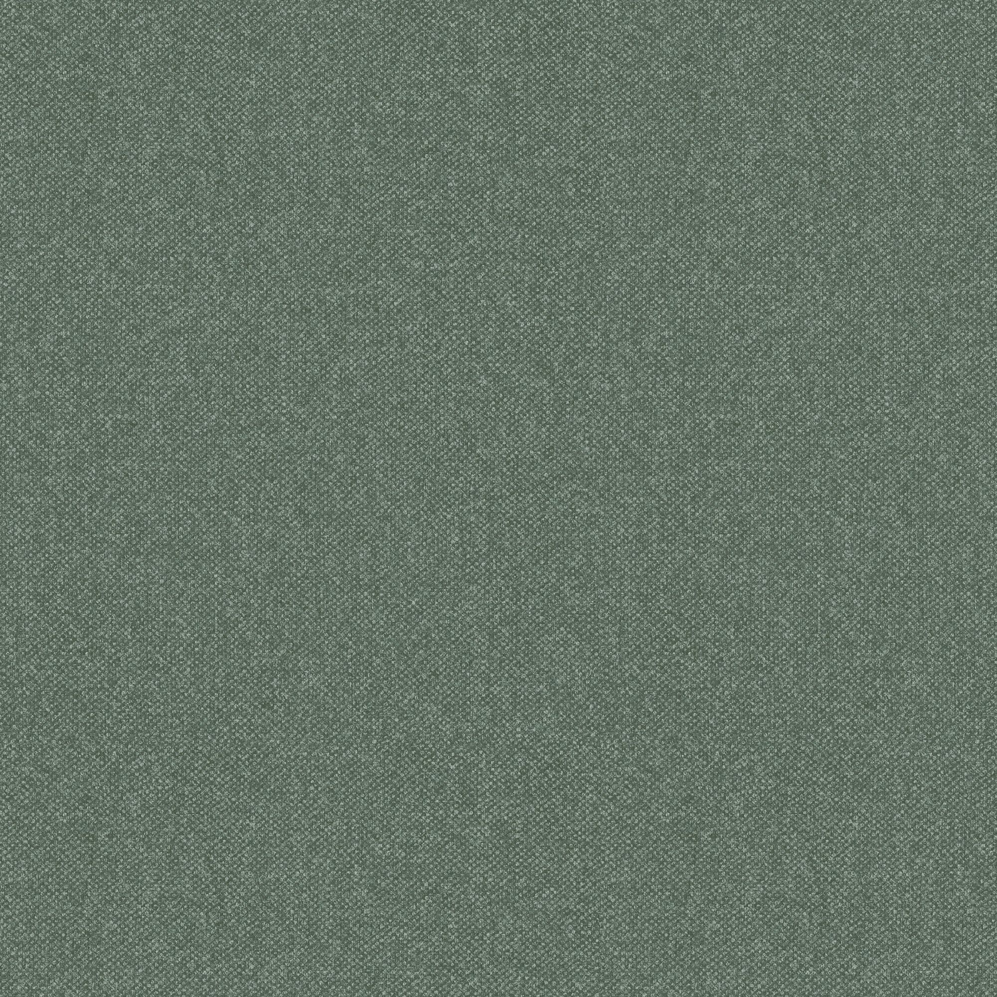 Superfresco Easy Fern Smooth Wallpaper