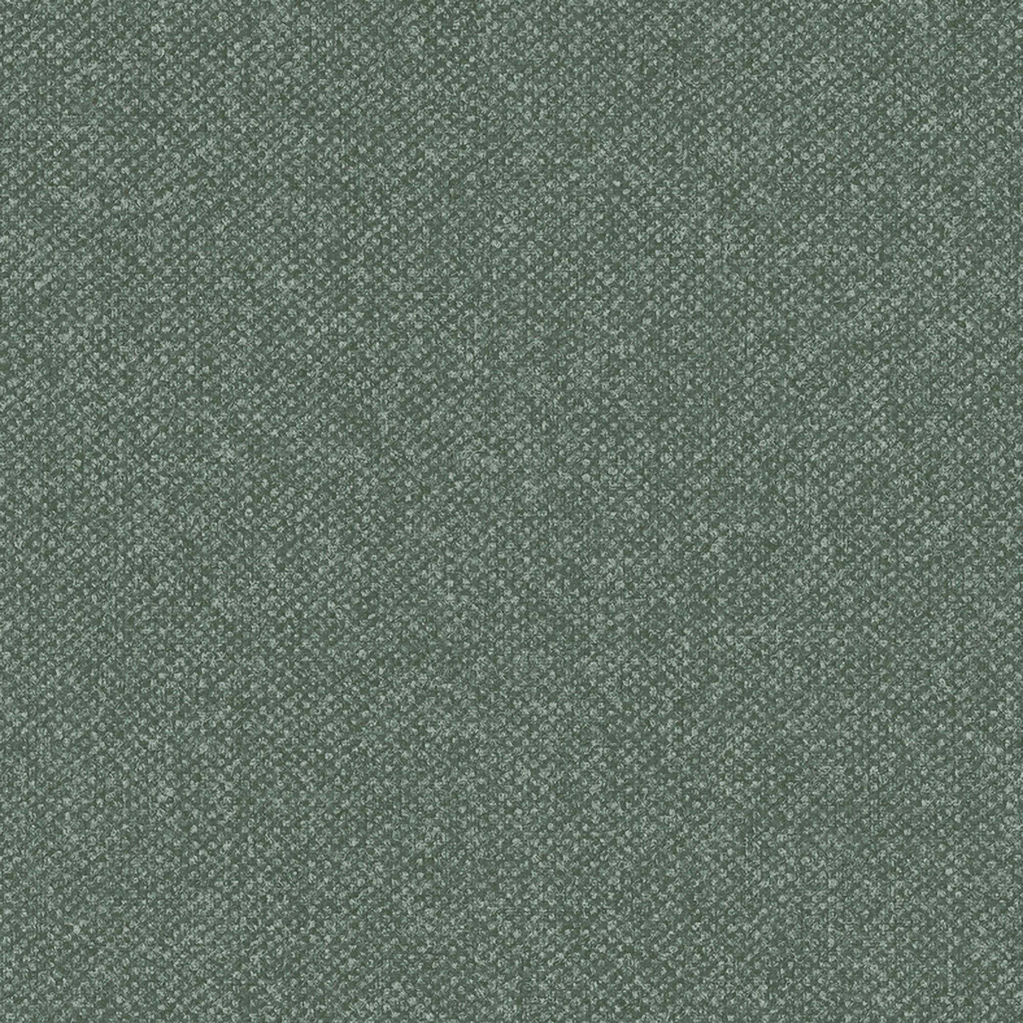 Superfresco Easy Fern Smooth Wallpaper