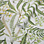Superfresco Easy Fernery Green Leaves Smooth Wallpaper