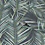Superfresco Easy Green Palm leaves Smooth Wallpaper