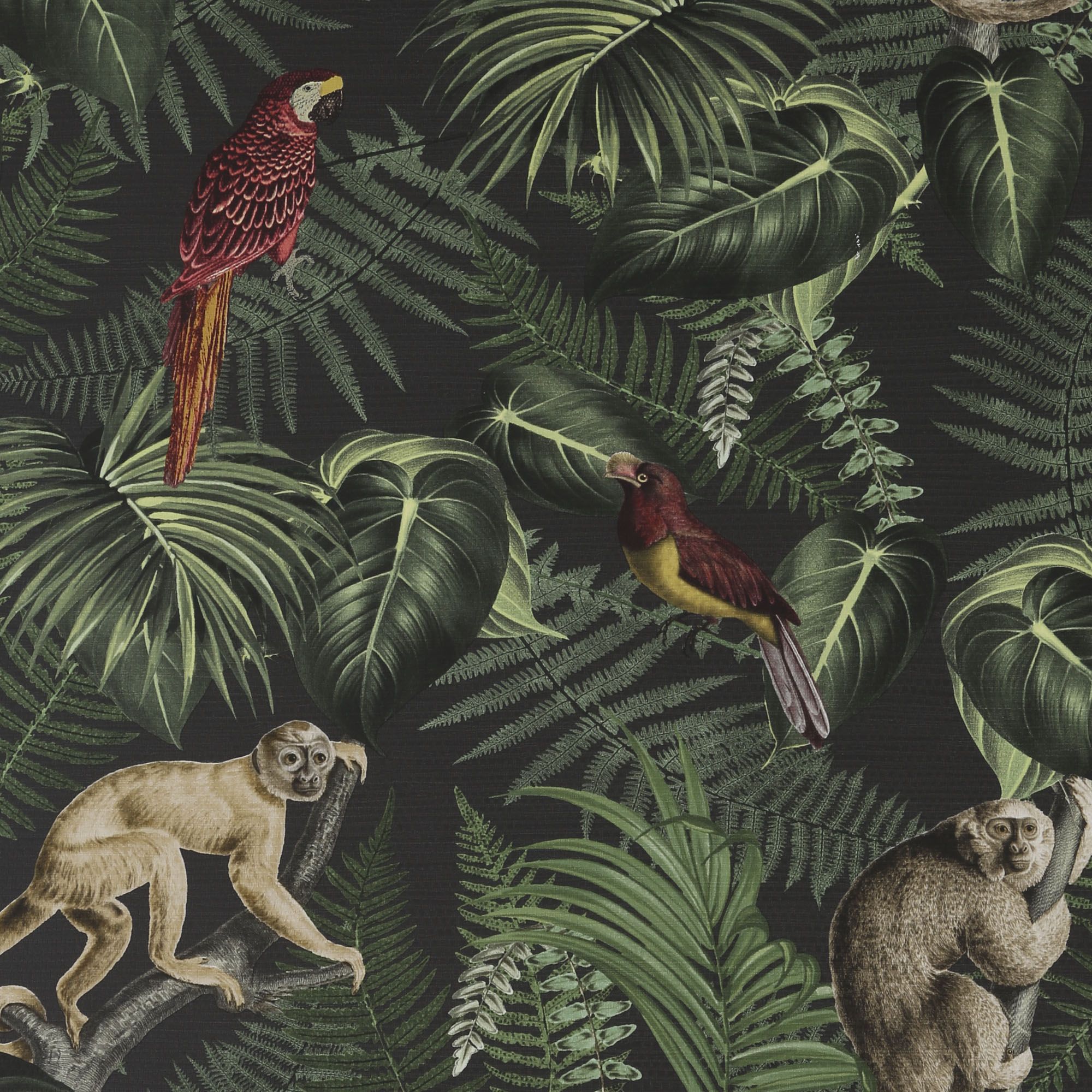 Superfresco Easy Into the jungle Black Smooth Wallpaper