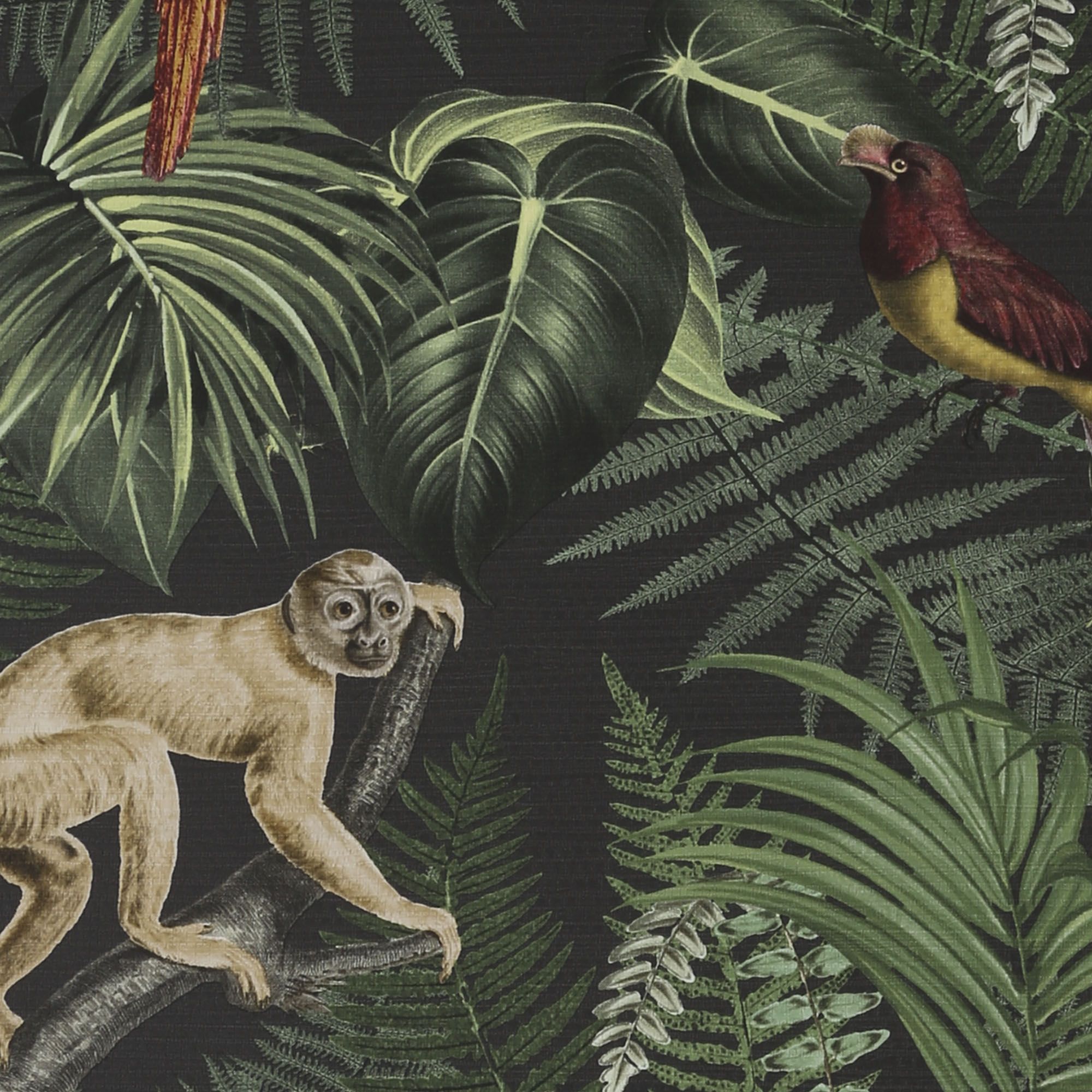 Superfresco Easy Into the jungle Black Smooth Wallpaper