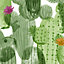Superfresco Easy Noplaito Green Cactus Smooth Wallpaper