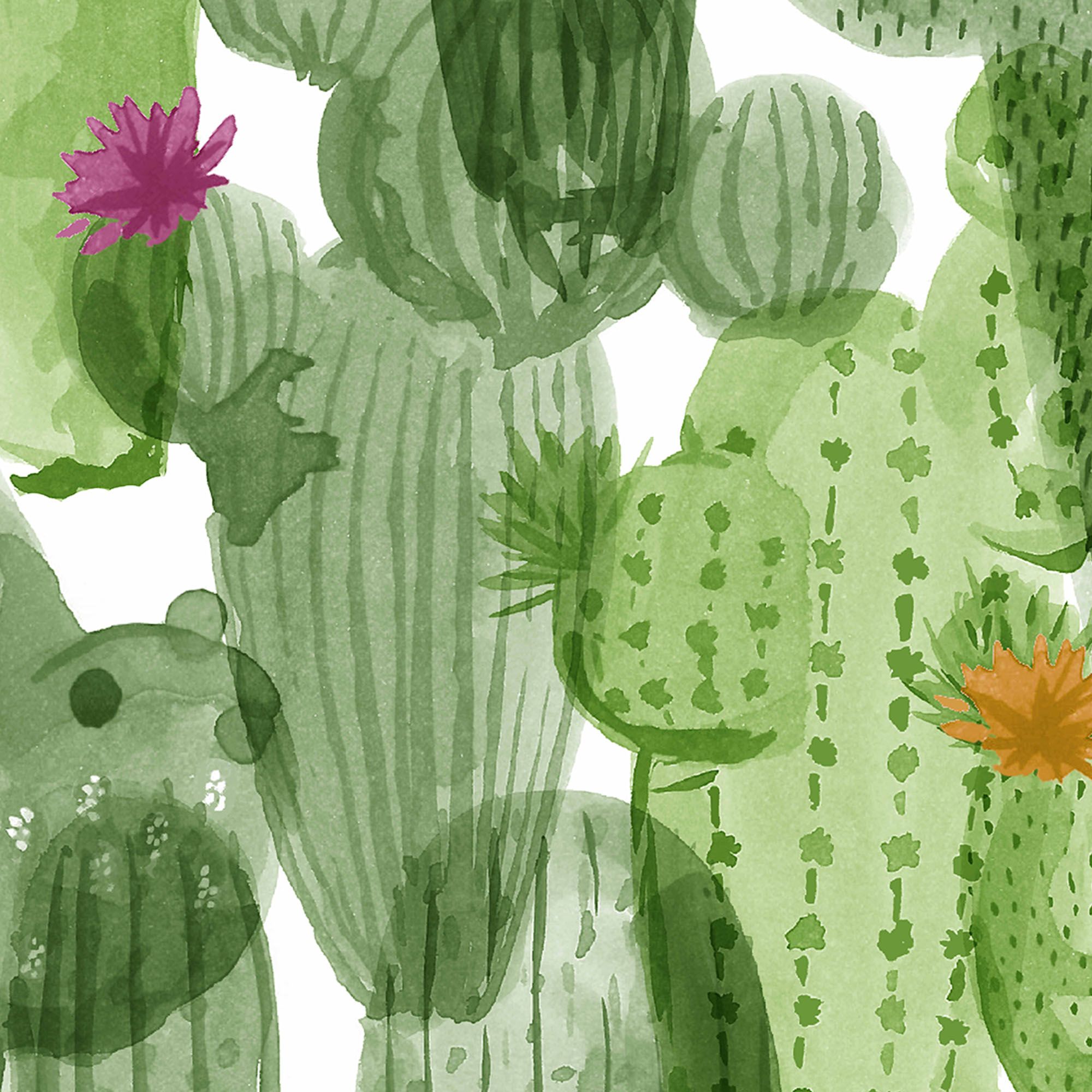 Superfresco Easy Noplaito Green Cactus Smooth Wallpaper