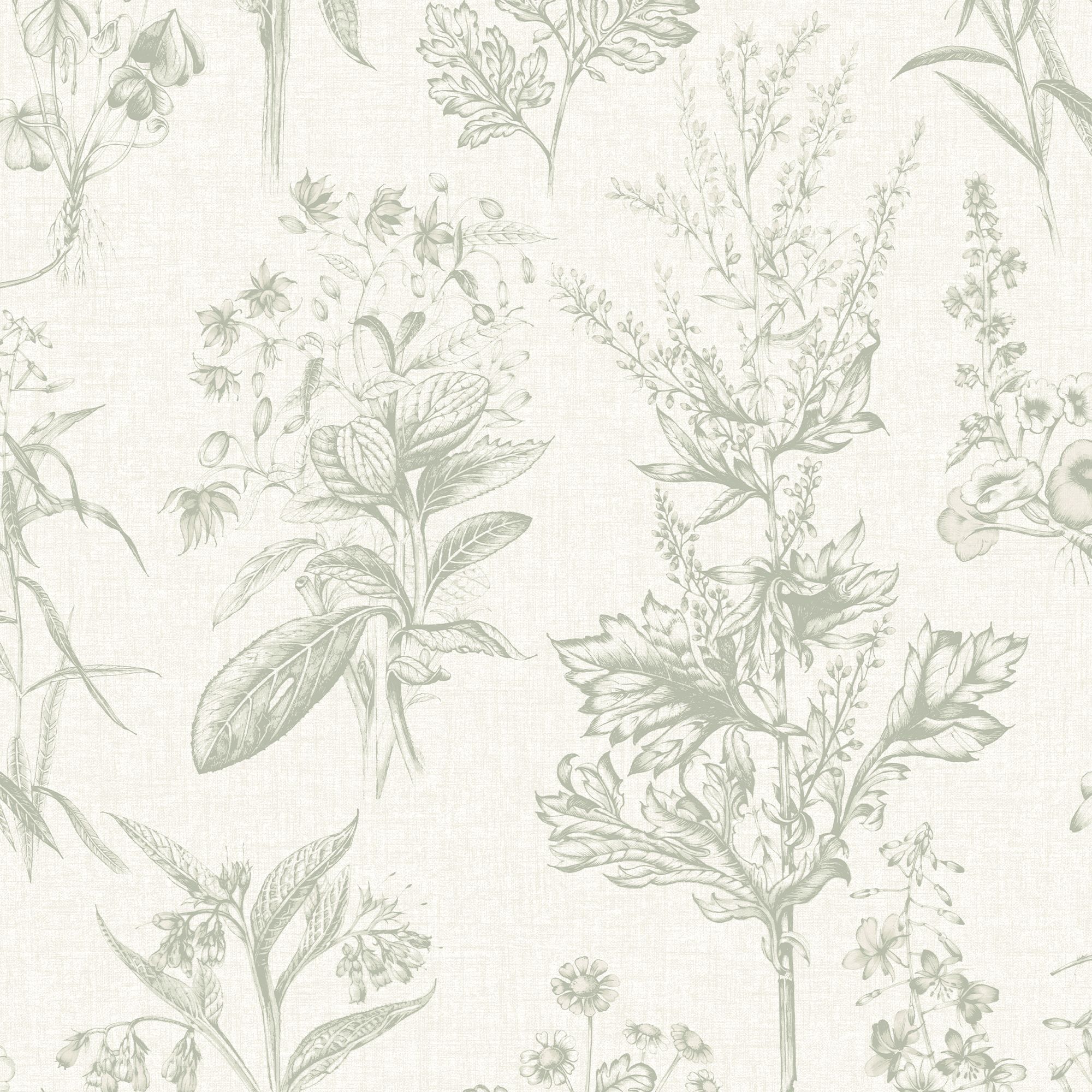 Superfresco Easy Sage Herbarium Smooth Wallpaper