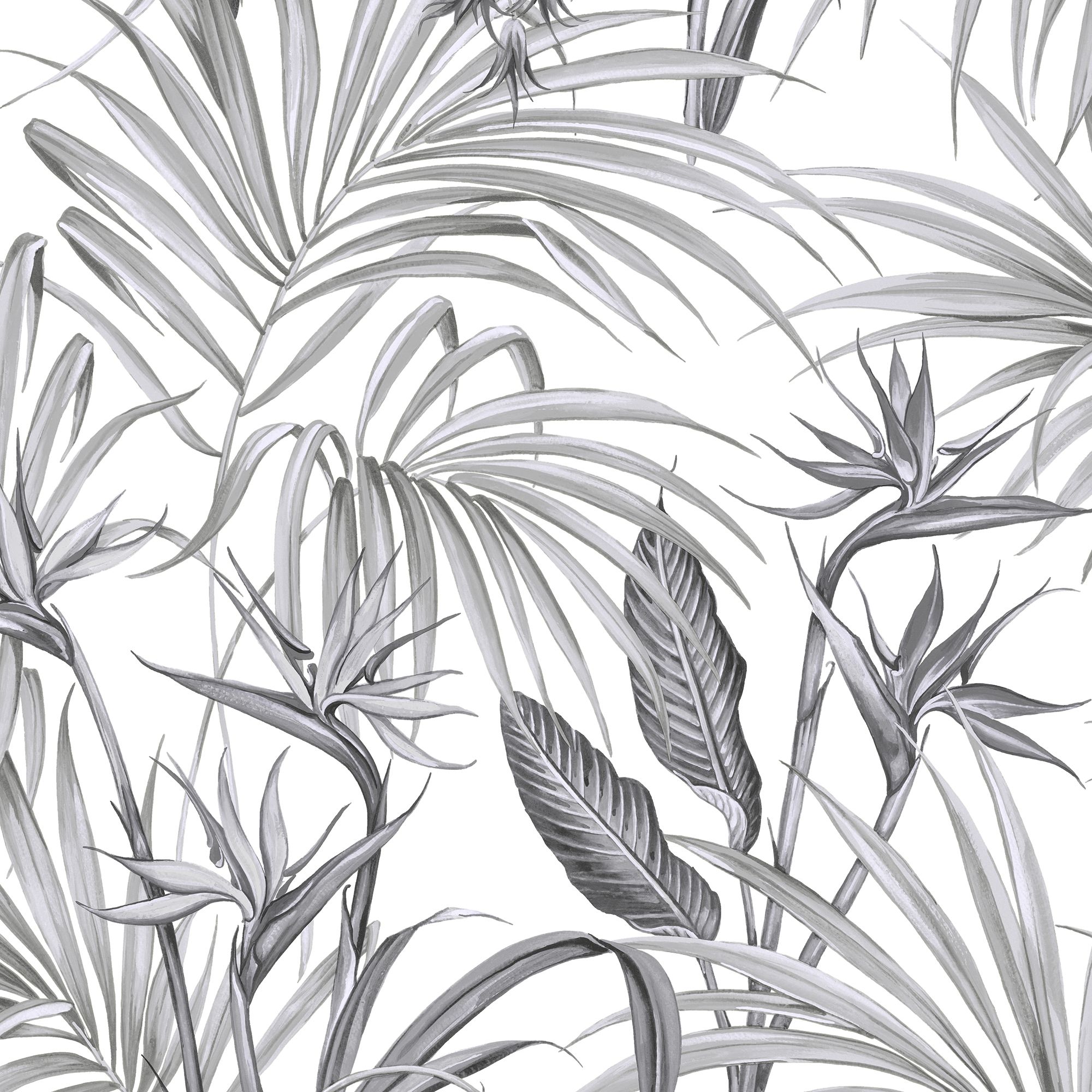 Superfresco Easy Sterlitzia Grey Leaves Smooth Wallpaper | DIY at B&Q