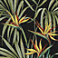 Superfresco Easy Sterlitzia Multicolour Leaves Smooth Wallpaper