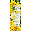 Tall daffodil collection mixed Flower bulb, Pack of 1