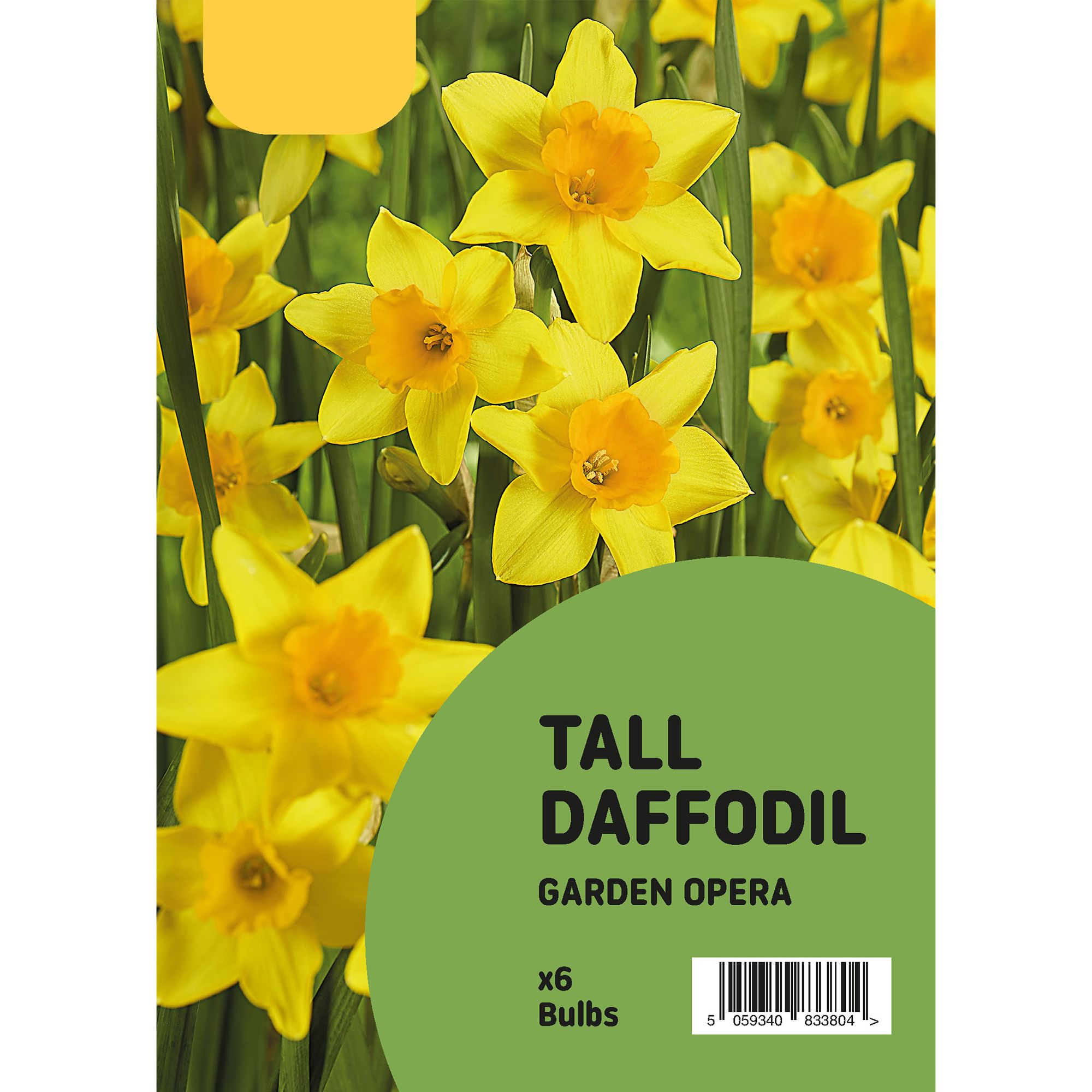 Tall Daffodil Garden Opera Yellow Flower bulb of 6 DIY at B&Q