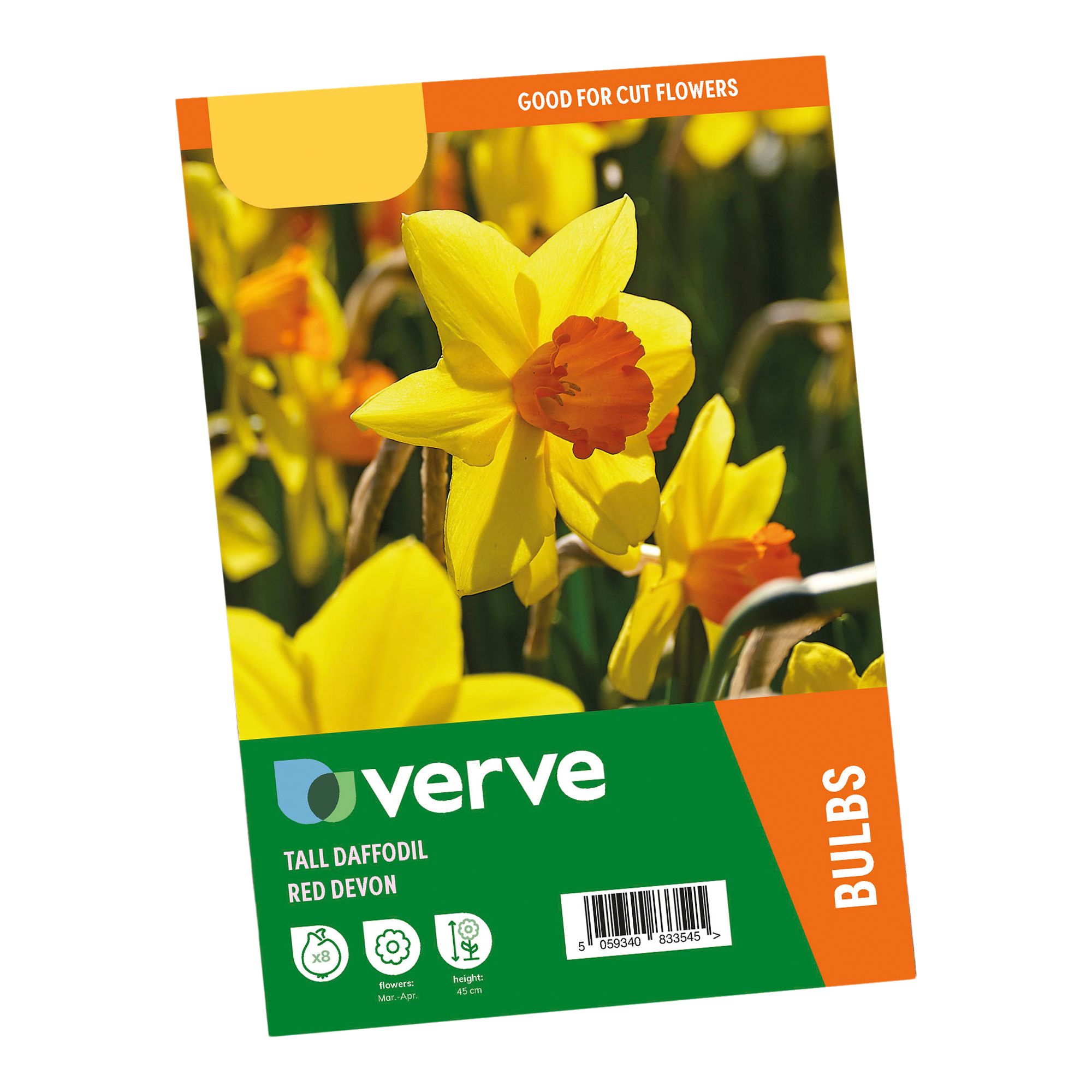 Tall Daffodil Red Devon 8 Flower bulbs - 3