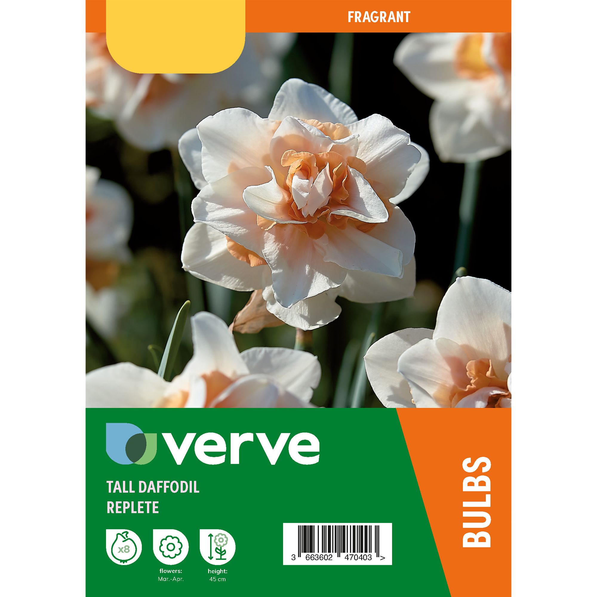 Tall daffodil replete Flower bulb, Pack of 8 DIY at B&Q
