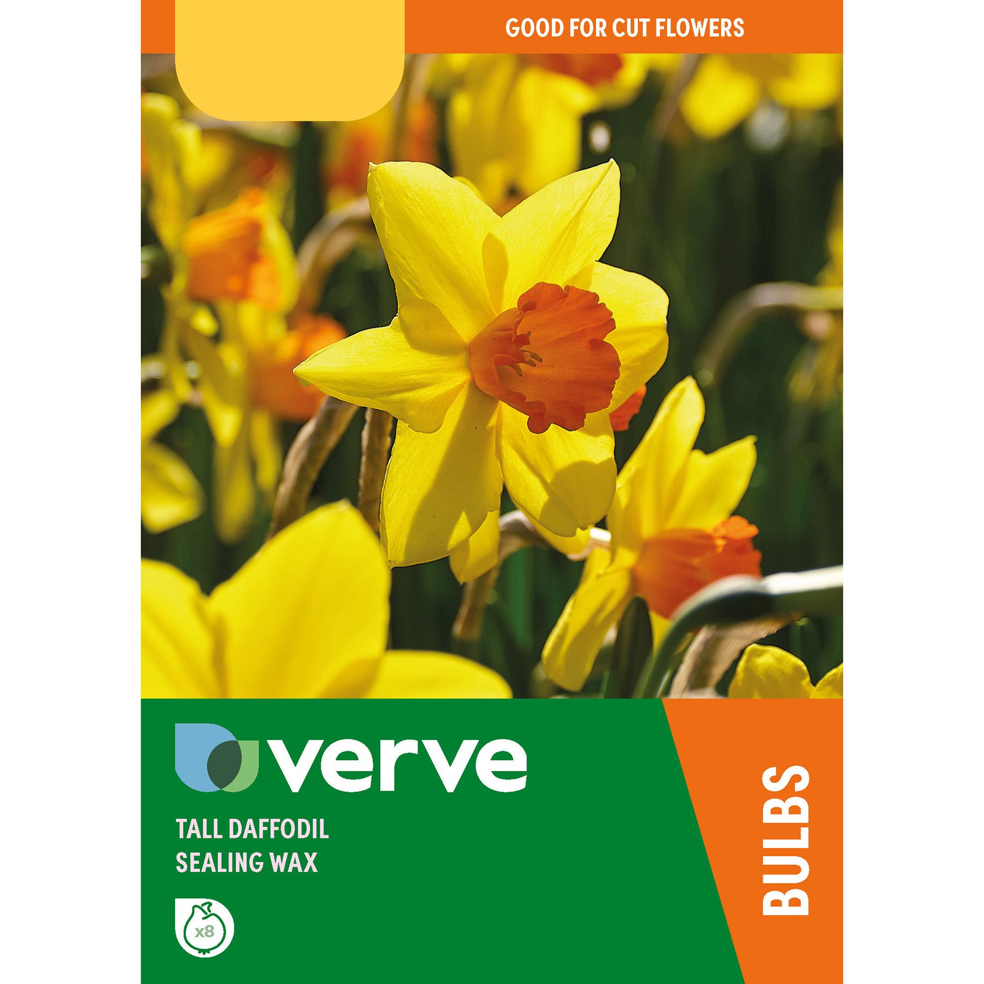 Tall daffodil sealing wax Flower bulb, Pack of 8 | DIY at B&Q