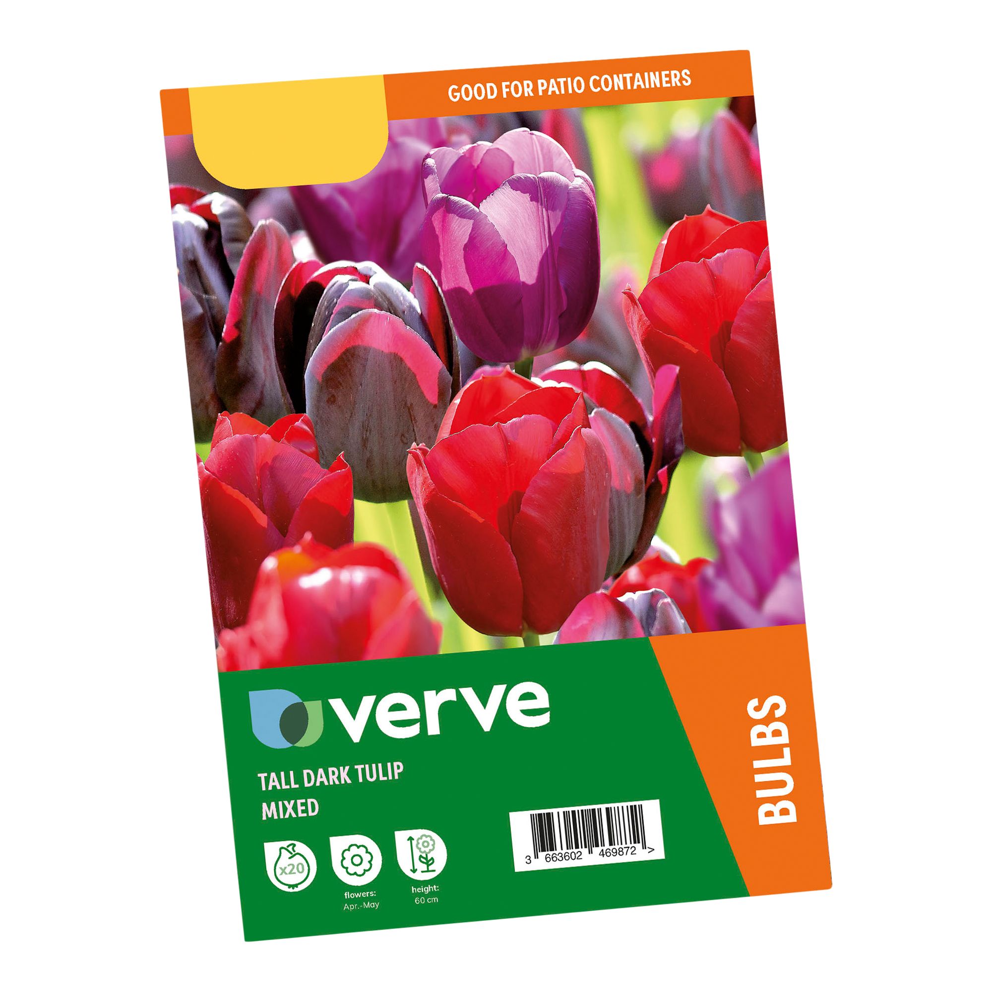 Tall Dark Tulip Mix 20 Flower bulbs - 3