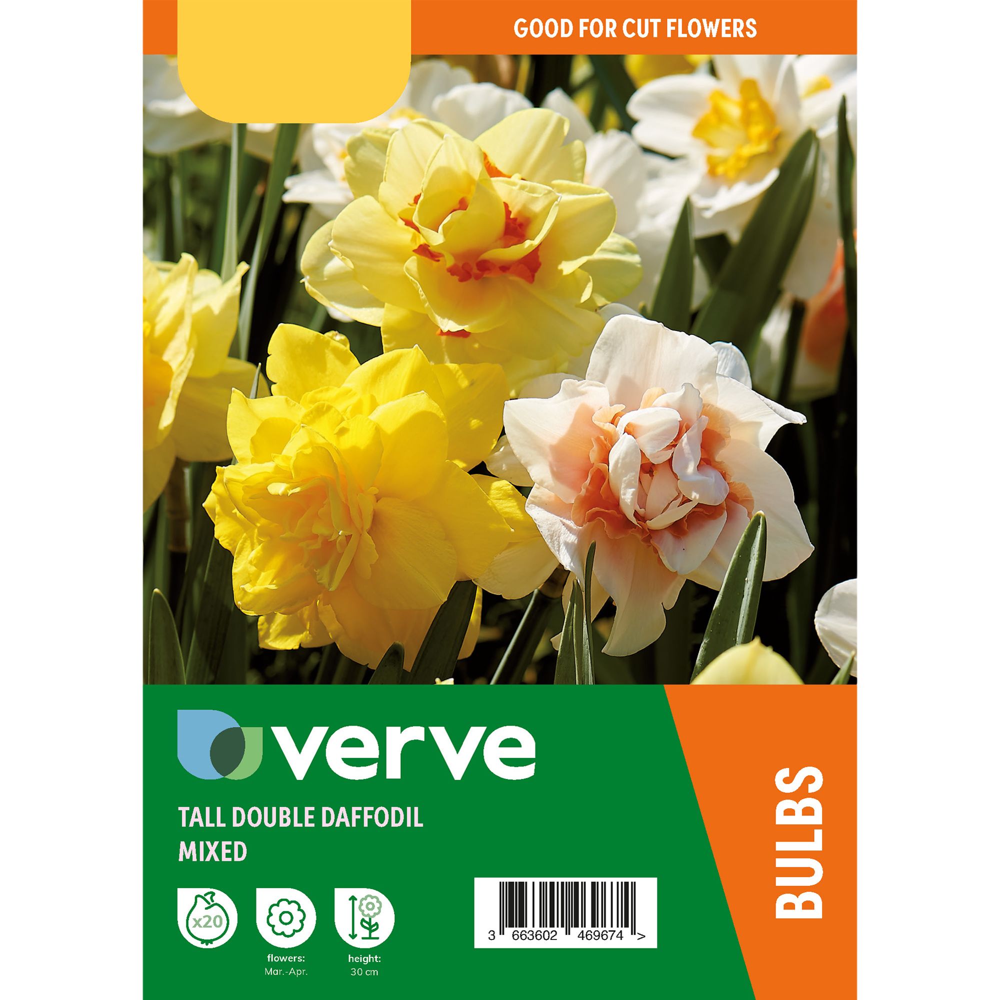 Tall Double Daffodil Mix 20 Flower bulbs