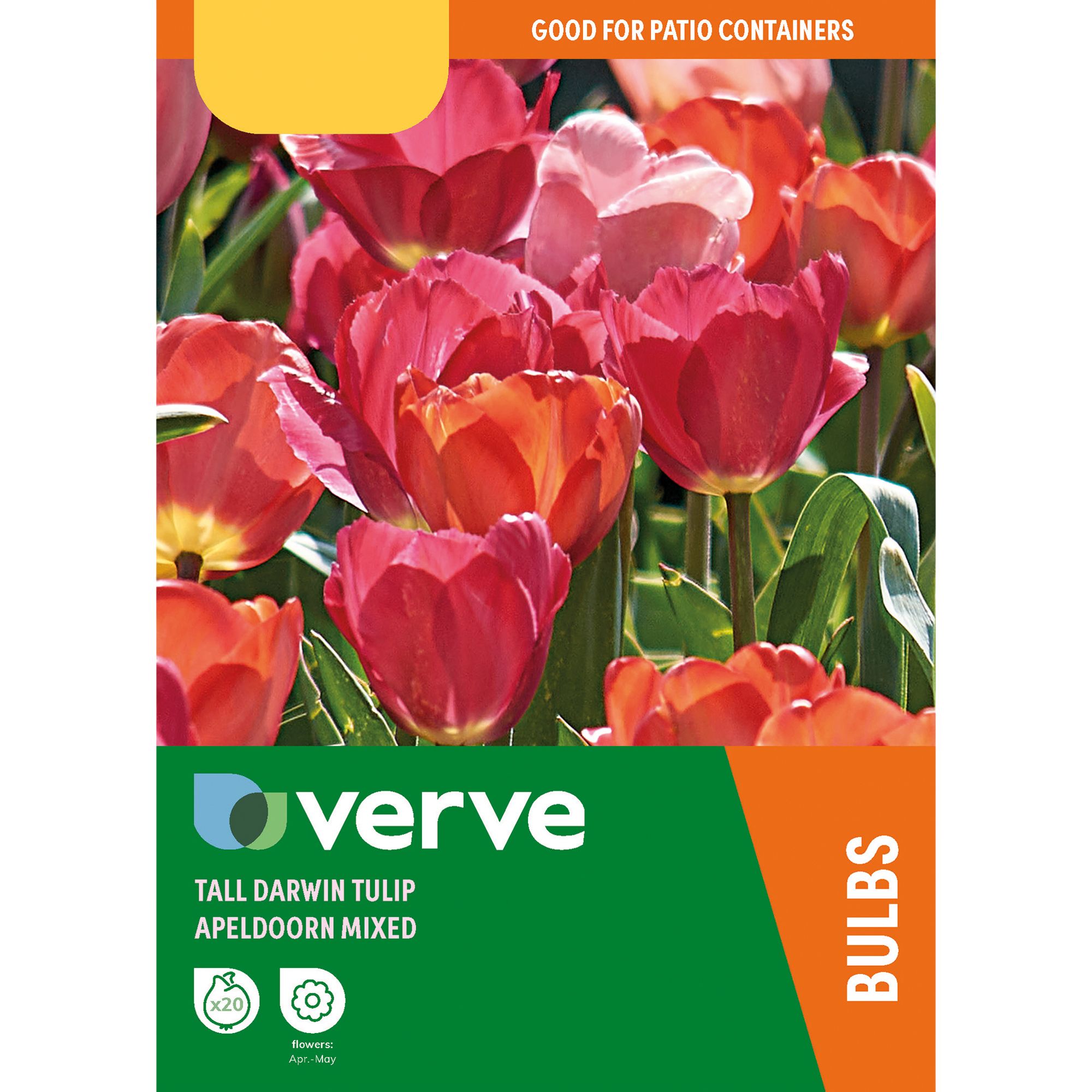 Tall tulip apledoorn mixed Flower bulb, Pack of 20 | DIY at B&Q