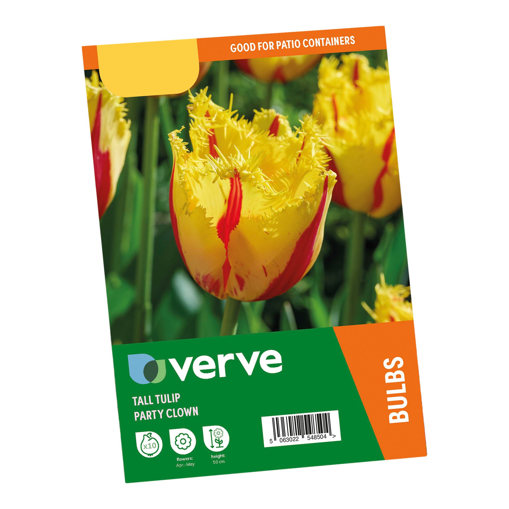 Tall Tulip Double Party Clown 10 Flower bulbs - 5