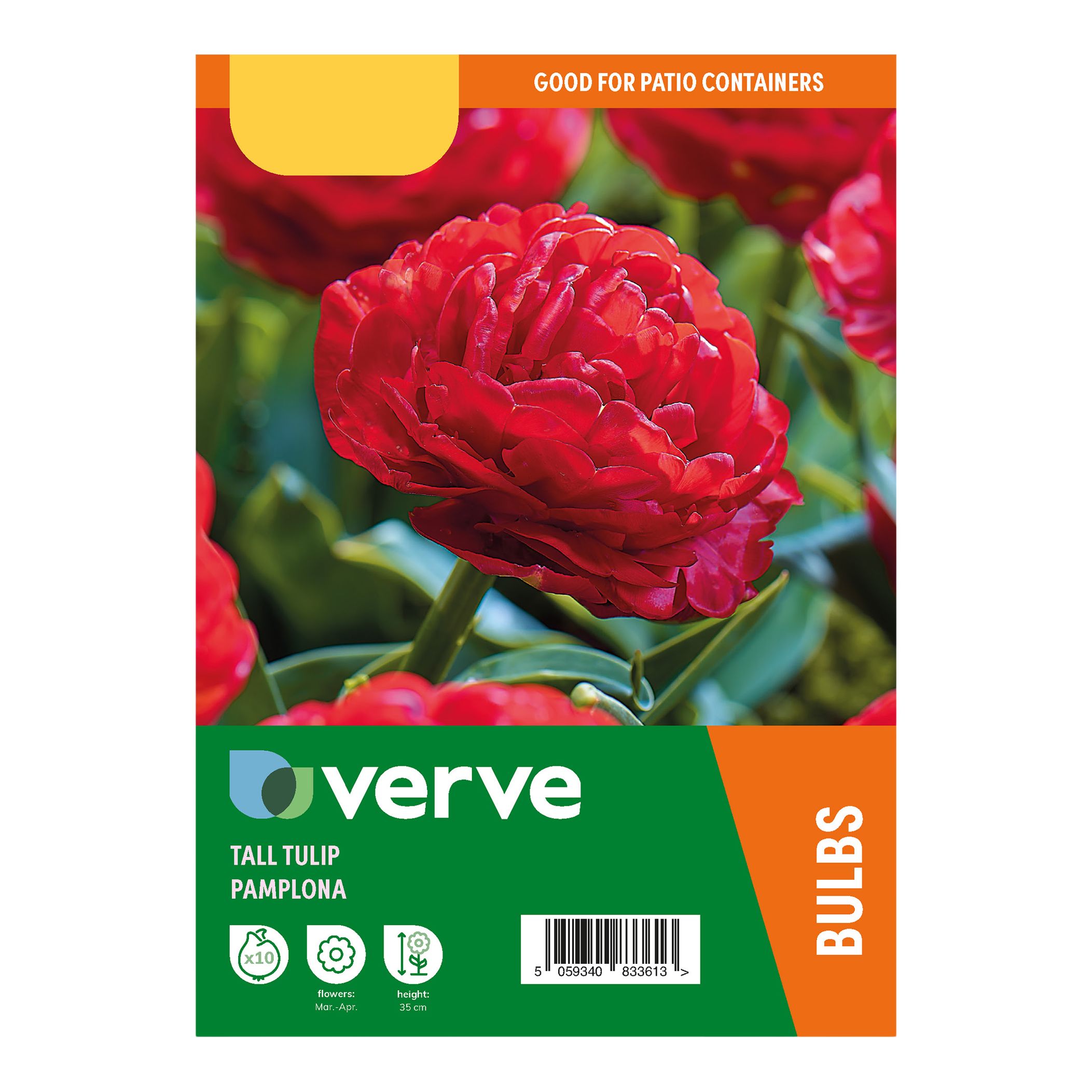 Tall Tulip Double Red Pamplona 10 Flower bulbs - 4