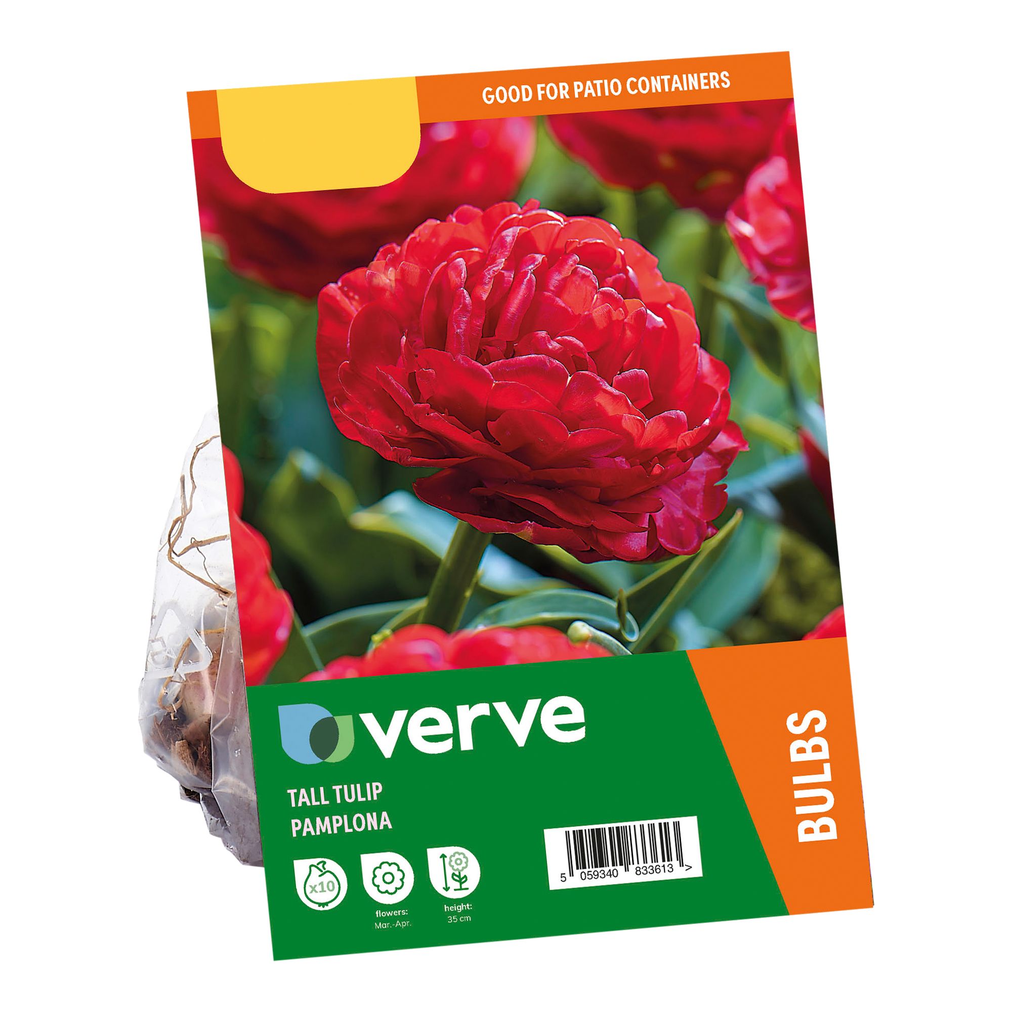 Tall Tulip Double Red Pamplona 10 Flower bulbs - 3