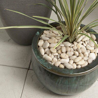 pebble plant pot
