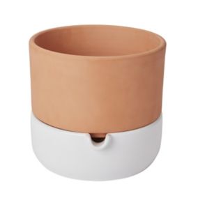 Terracotta & white Terracotta Round Plant pot (Dia)22.8cm