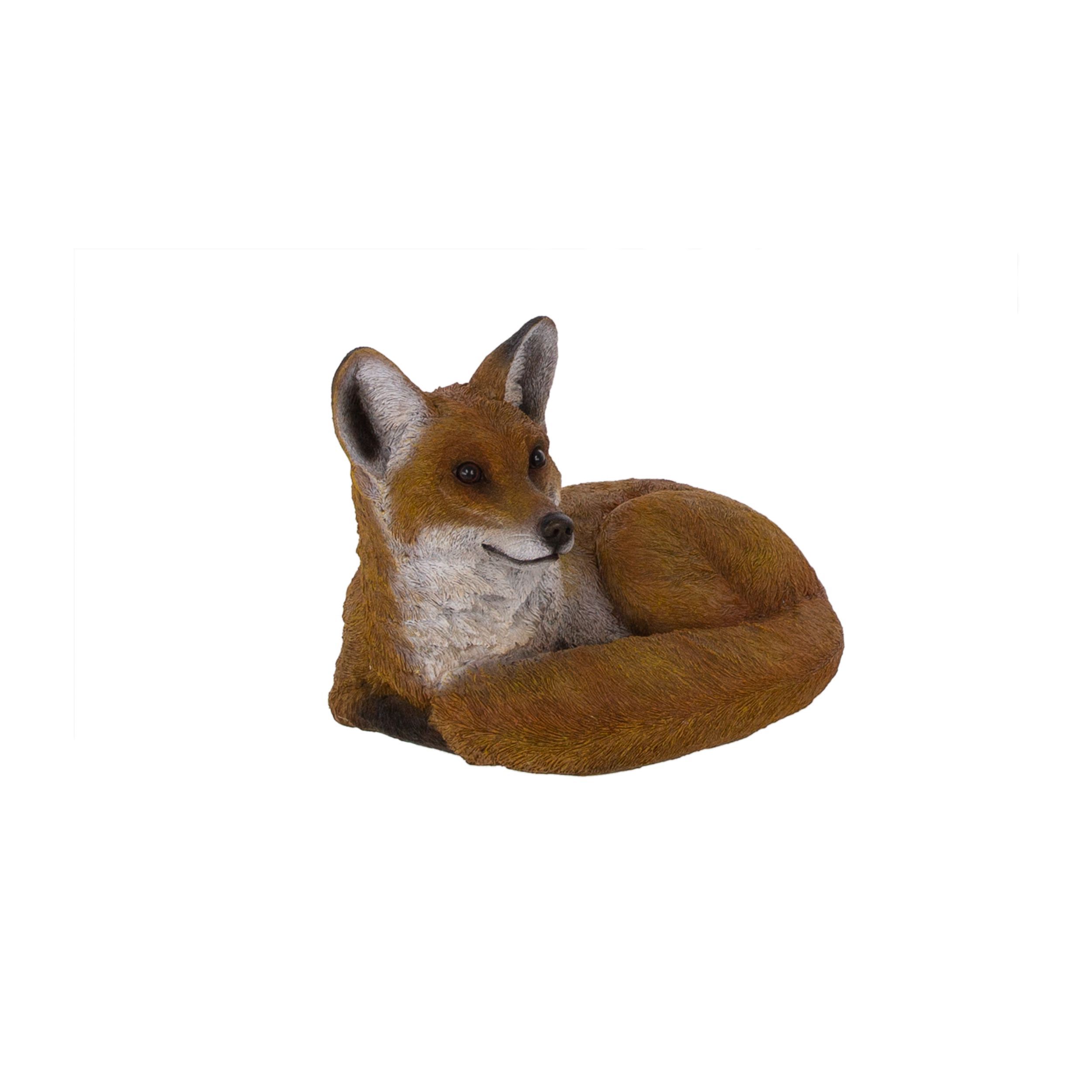 Terrastyle Red, White Resin Fox Garden ornament (H)30cm (W)31cm