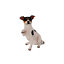 Terrastyle White, Brown Resin Terrier dog Garden ornament (H)38.8cm