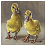 The Art Group Ducklings Multicolour Canvas art (H)40cm x (W)40cm
